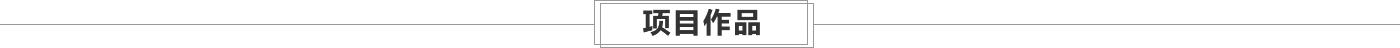 项目作品